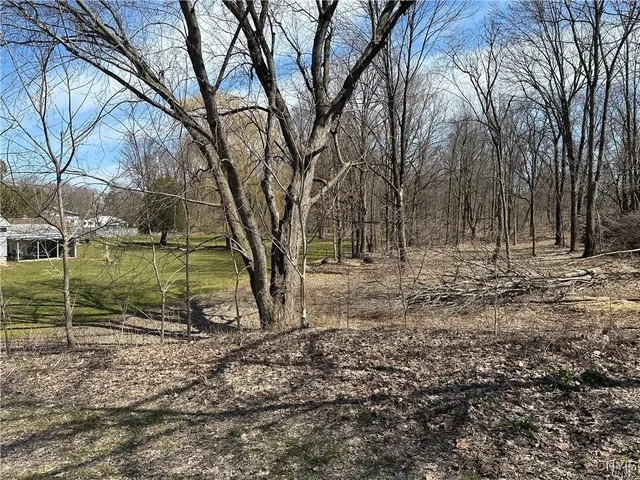 $42,250 | 0 Steuben Place, Oneida, NY 13421