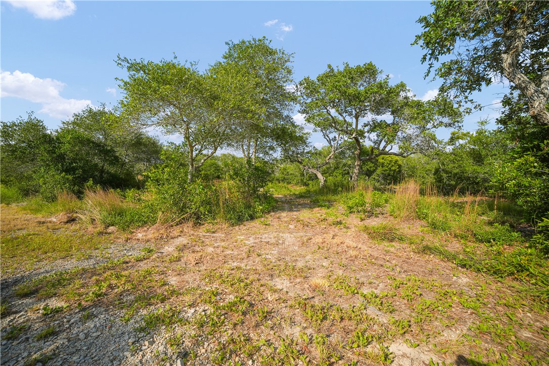 1508 Rhodes Avenue Aransas Pass, TX 78336 - Photo 22 of 30