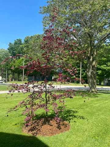 $230,000 | 1657 Jordan Lake Avenue, Lake Odessa, MI 48849