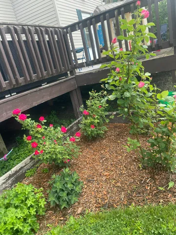 $230,000 | 1657 Jordan Lake Avenue, Lake Odessa, MI 48849