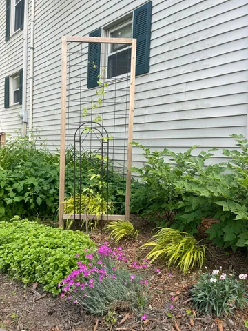 $230,000 | 1657 Jordan Lake Avenue, Lake Odessa, MI 48849