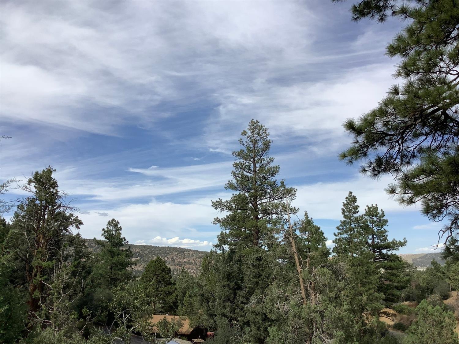 Great Views | 360 Lookout Drive in Big Bear City