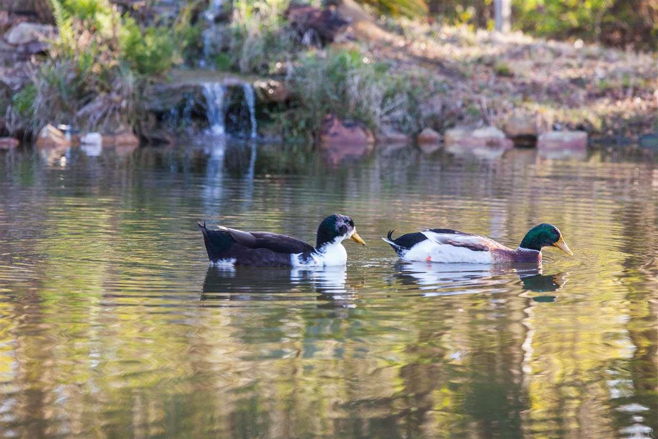 3488 Rolling Acres Road Pace, FL 32571 - Photo 48 of 50