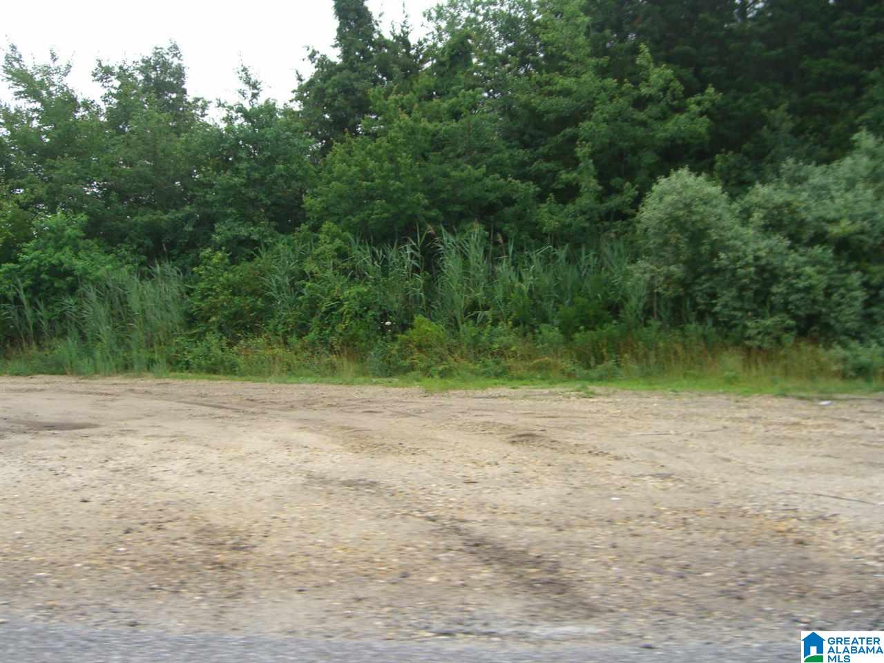 2867 B Mayfield Road Warrior, AL 35180 - Photo 1 of 1