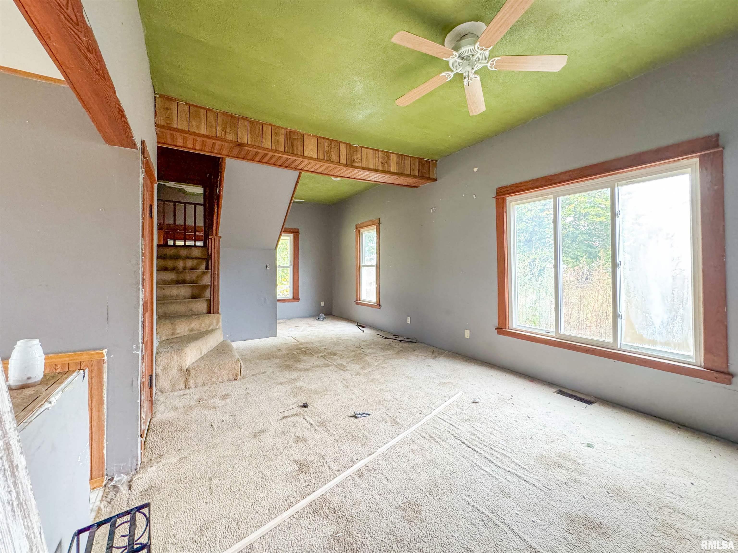 111 South Madison Street Lowpoint, IL 61545 - Photo 4 of 25 Gallery Image 4