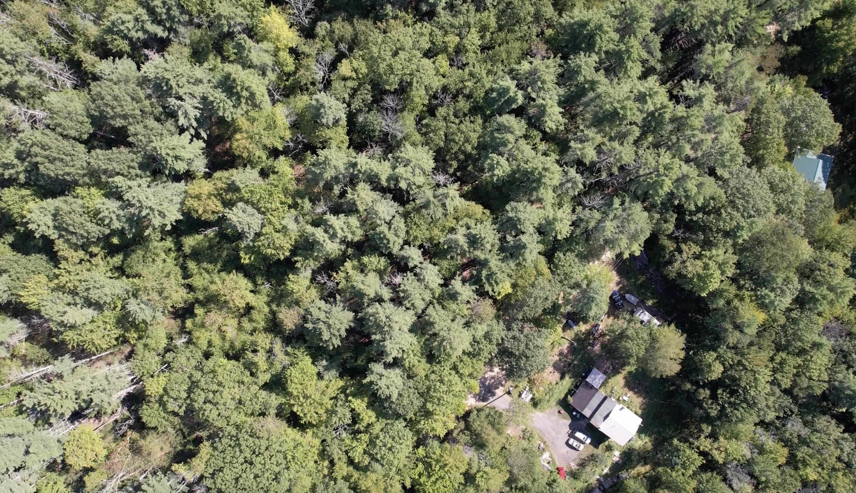 38 Chapelle Road Barnstead, NH 03225 - Photo 3 of 5