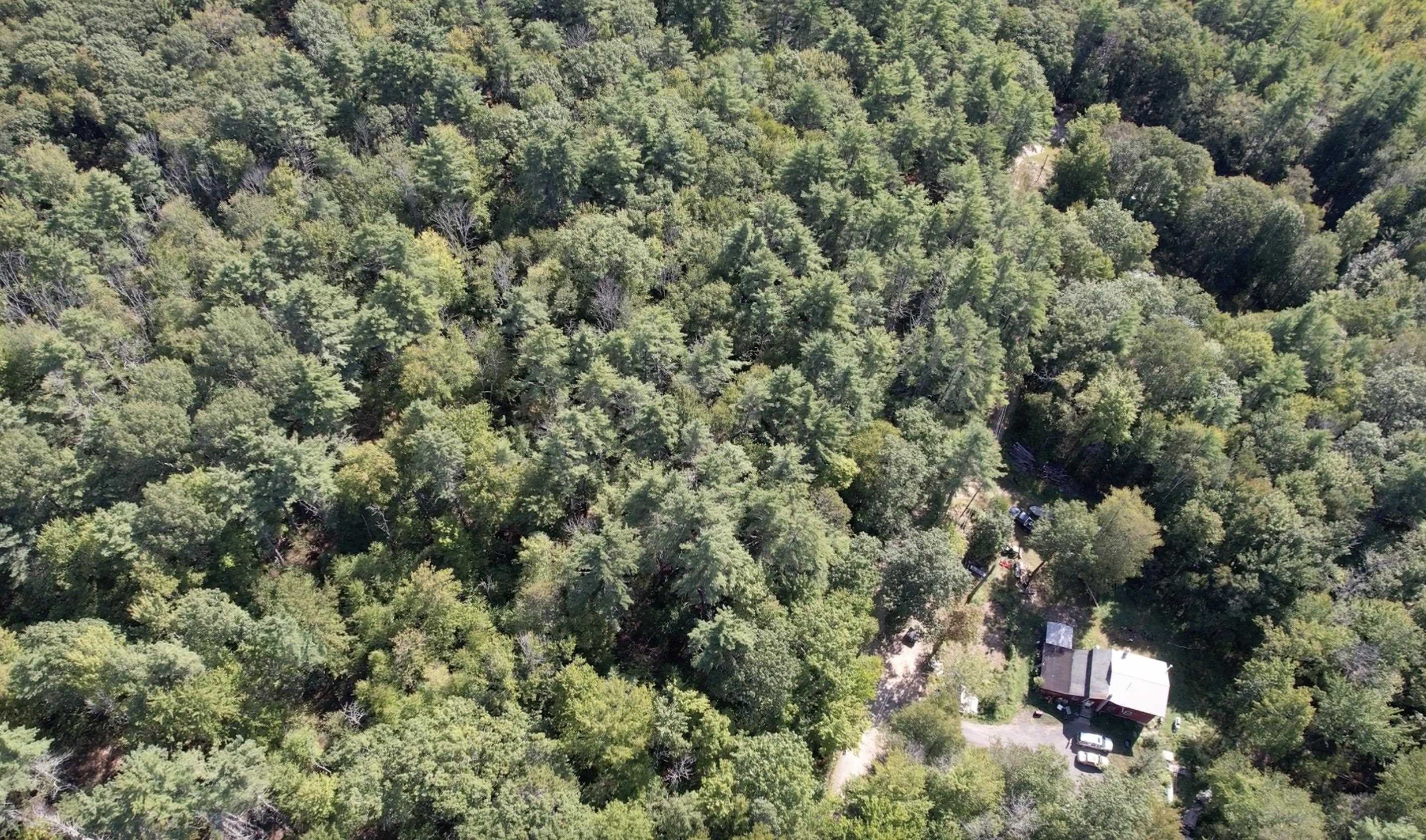 38 Chapelle Road Barnstead, NH 03225 - Photo 5 of 5