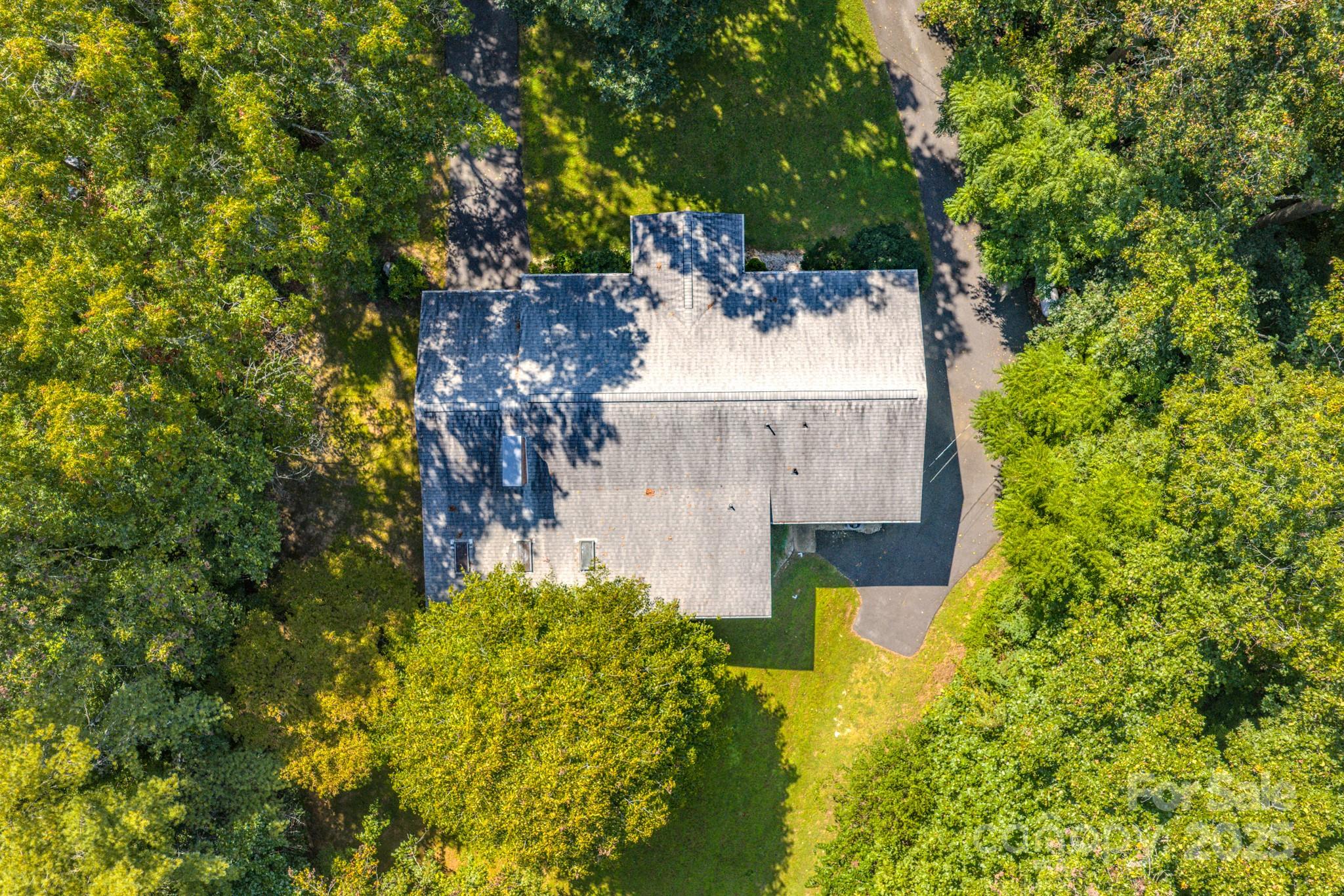 31 Jupiter Road Weaverville, NC 28787 - Photo 43 of 43 a view of a garden with plants