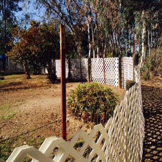 14672 Huntington Road Madera, CA 93636 - Photo 13 of 41 Gallery Image 13