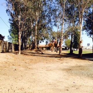 14672 Huntington Road Madera, CA 93636 - Photo 17 of 41 Gallery Image 17