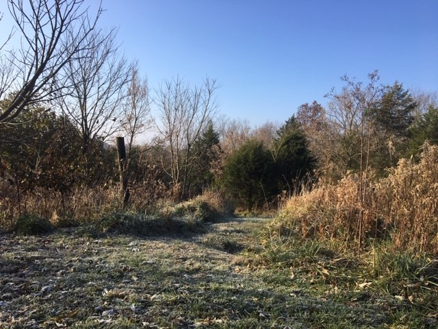 2015 Keefer Lawrenceville Road Corinth, KY 41010 - Photo 23 of 24