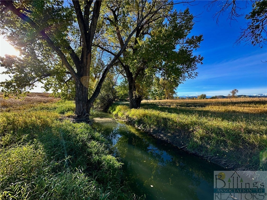 Tbd Centennial Road Columbus, MT 59019 - Photo 4 of 20 Gallery Image 4