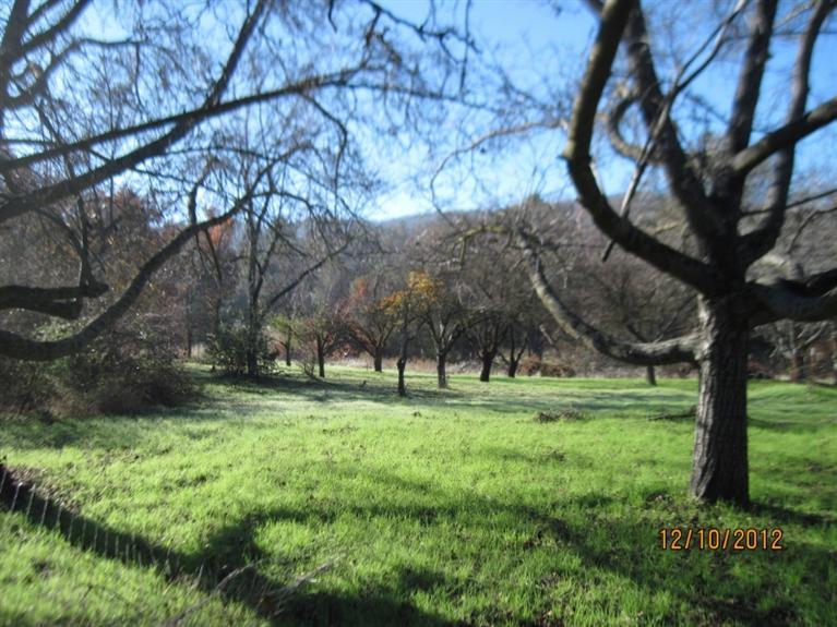 28135 Burrough Valley Road Tollhouse, CA 93667 - Photo 39 of 64 Gallery Image 39