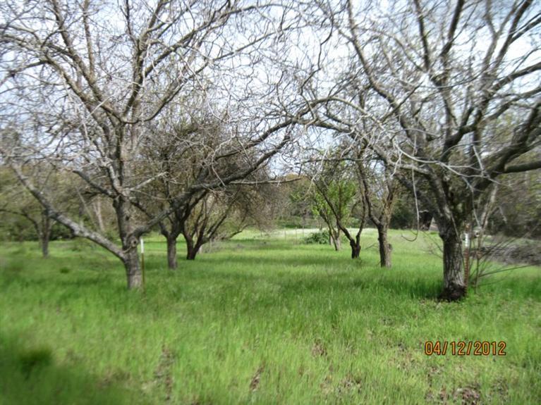 28135 Burrough Valley Road Tollhouse, CA 93667 - Photo 42 of 64 Gallery Image 42