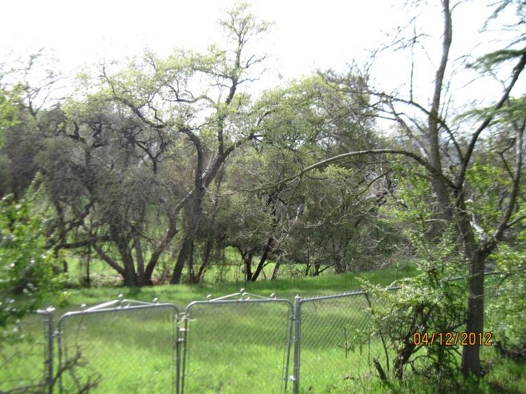 28135 Burrough Valley Road Tollhouse, CA 93667 - Photo 43 of 64 Gallery Image 43