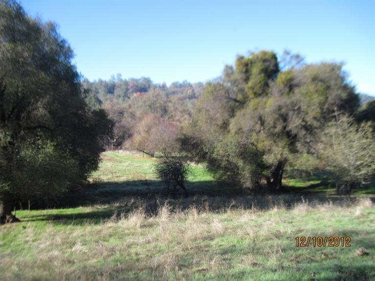 28135 Burrough Valley Road Tollhouse, CA 93667 - Photo 46 of 64 Gallery Image 46