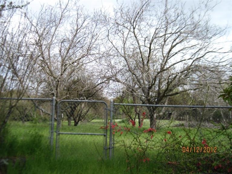 28135 Burrough Valley Road Tollhouse, CA 93667 - Photo 58 of 64 Gallery Image 58