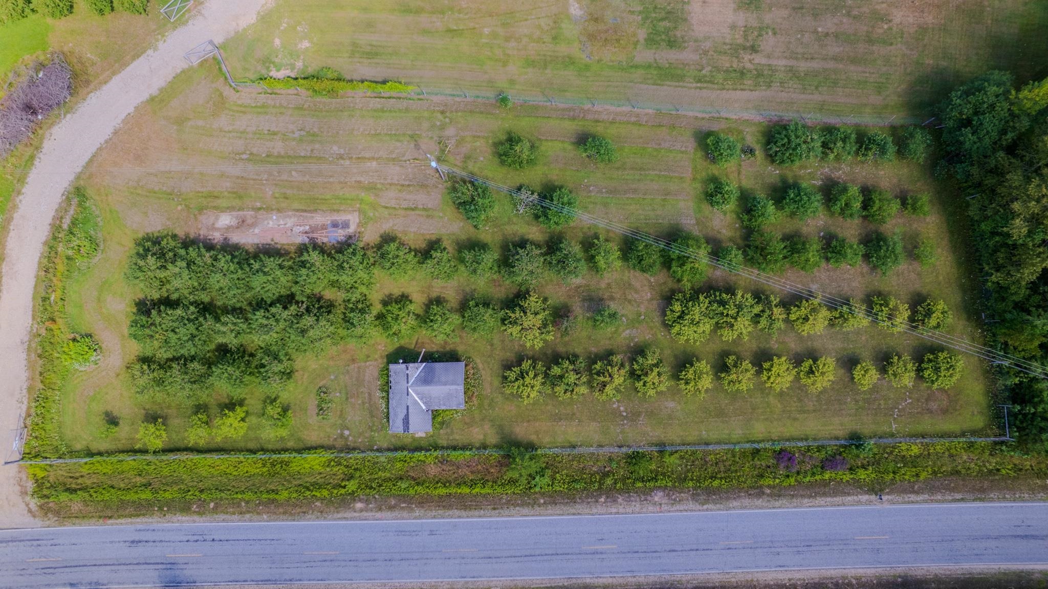 354 Ritchie Road Gladwin, MI 48624 - Photo 43 of 61