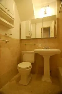a bathroom with a sink and a toilet