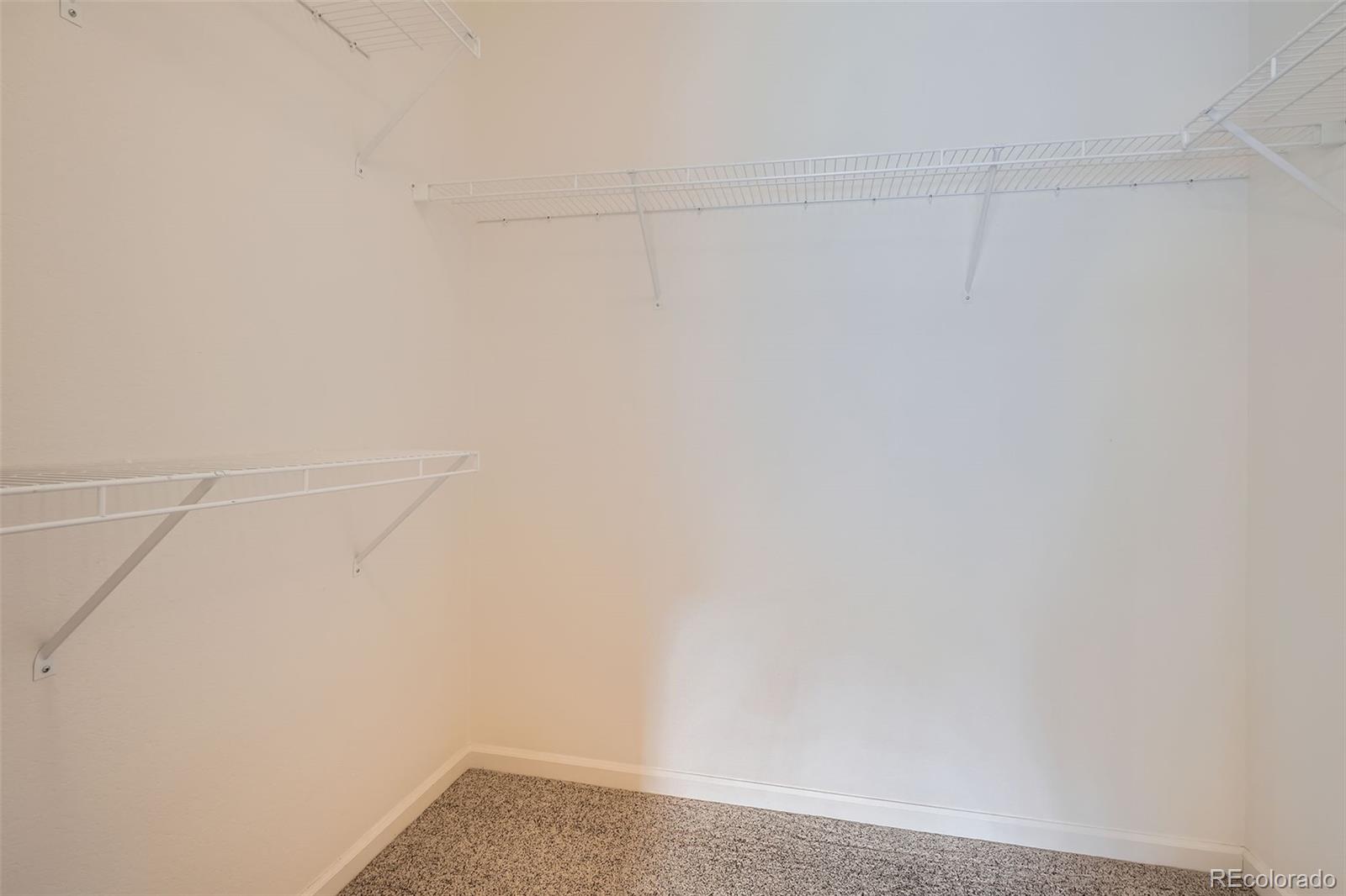 1978 Granger Circle Castle Rock, CO 80109 - Photo 21 of 31 a close up view of racks on the wall