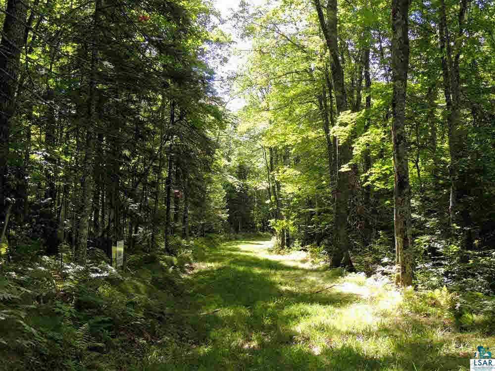 Lot 7-8 Nordmor Road Cable, WI 54821 - Photo 2 of 5 Gallery Image 2