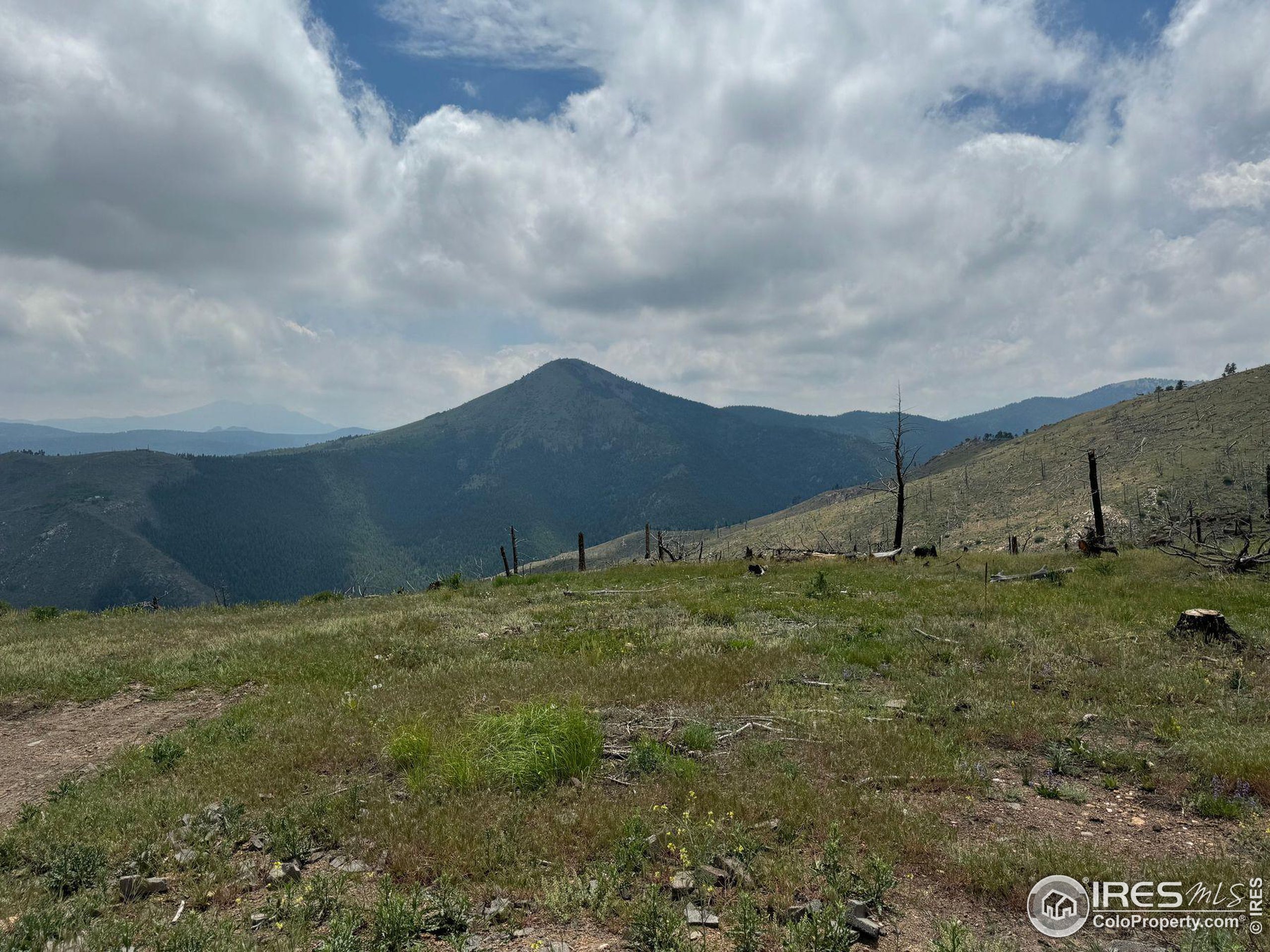 280 Rim Road Boulder, CO 80302 - Photo 11 of 29