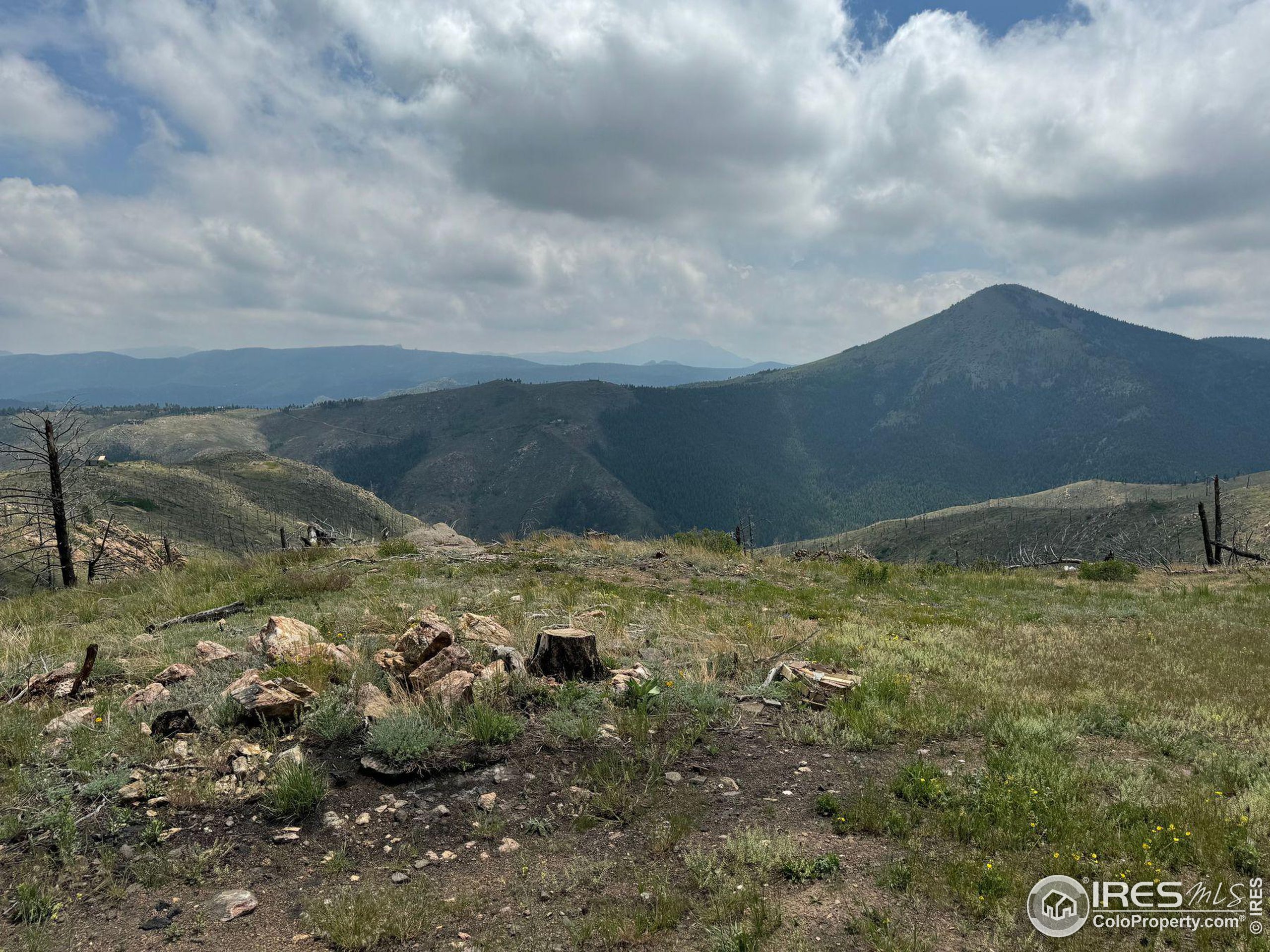 280 Rim Road Boulder, CO 80302 - Photo 12 of 29