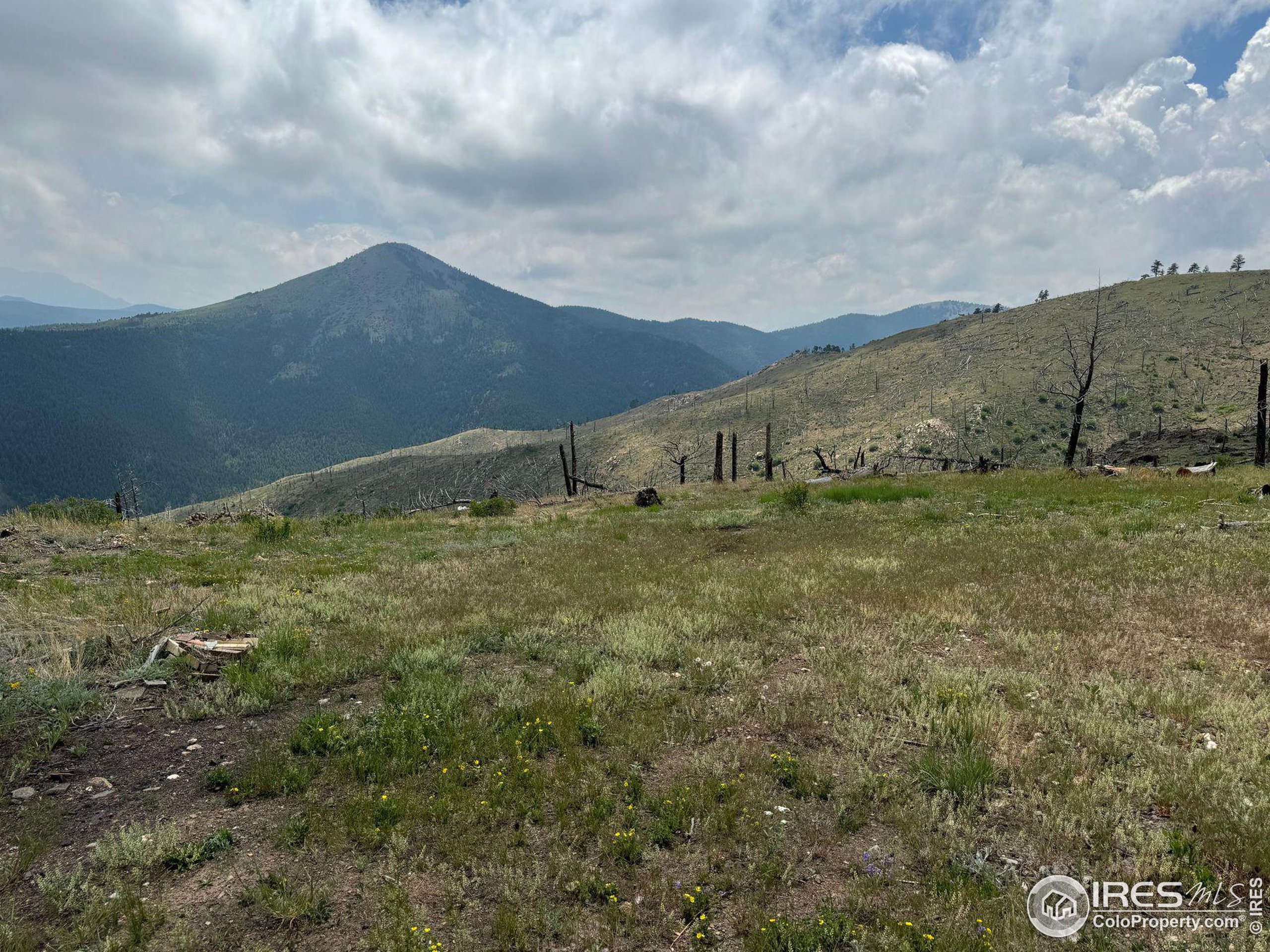 280 Rim Road Boulder, CO 80302 - Photo 13 of 29