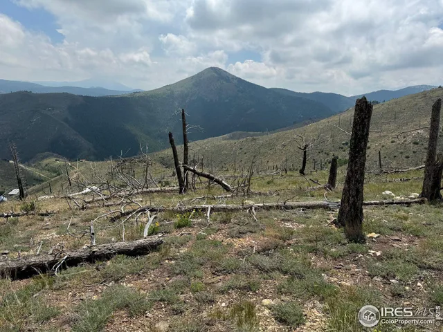 $250,000 | 280 Rim Road, Boulder, CO 80302