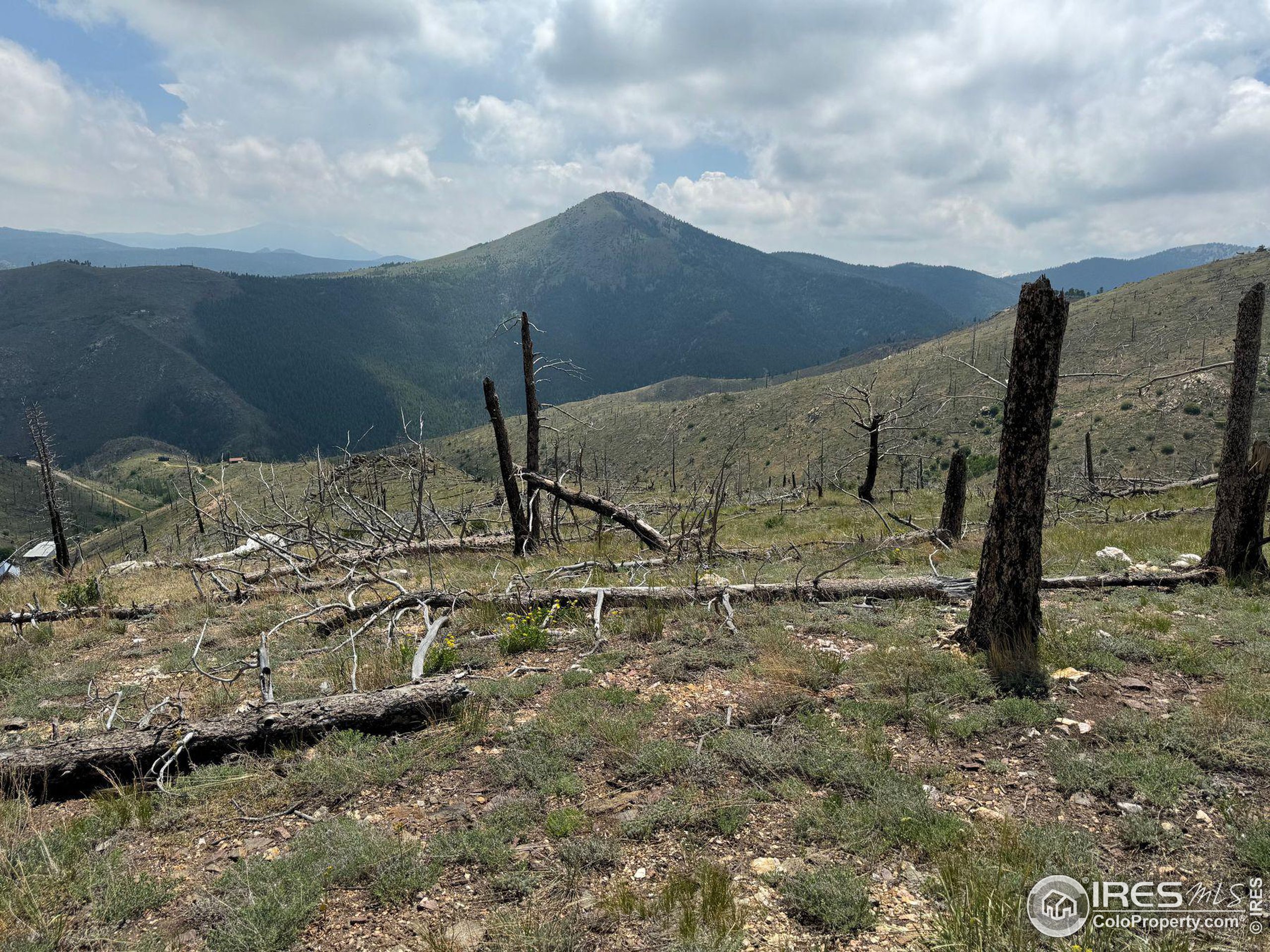280 Rim Road Boulder, CO 80302 - Photo 15 of 29