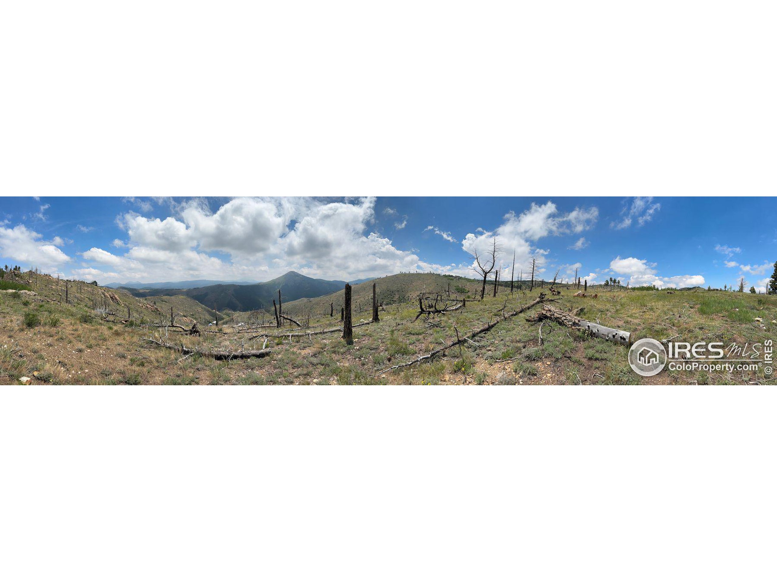 280 Rim Road Boulder, CO 80302 - Photo 16 of 29