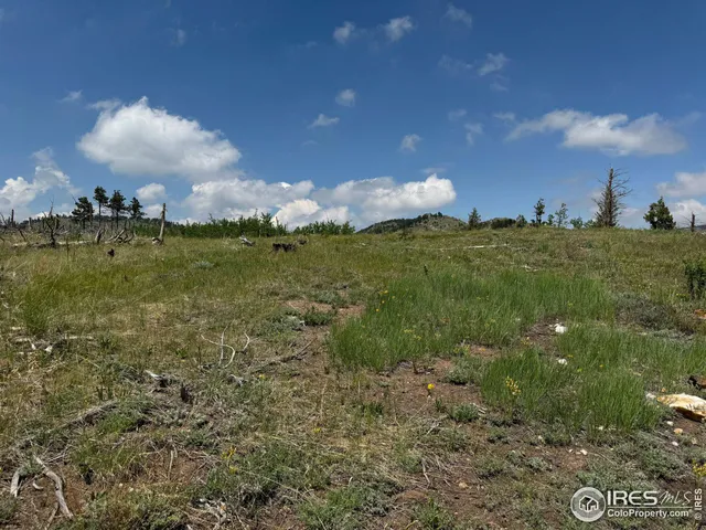 $250,000 | 280 Rim Road, Boulder, CO 80302