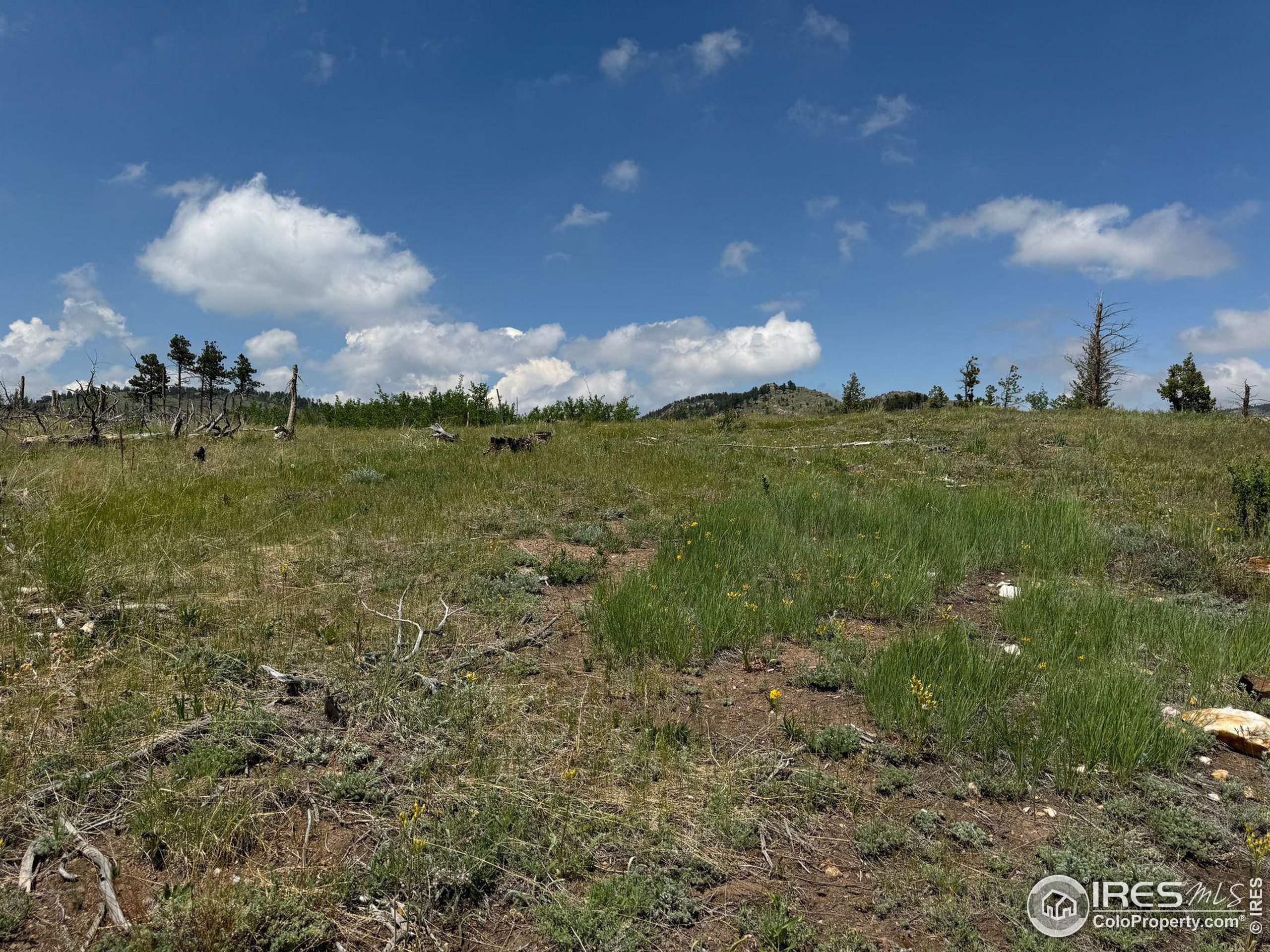 280 Rim Road Boulder, CO 80302 - Photo 18 of 29