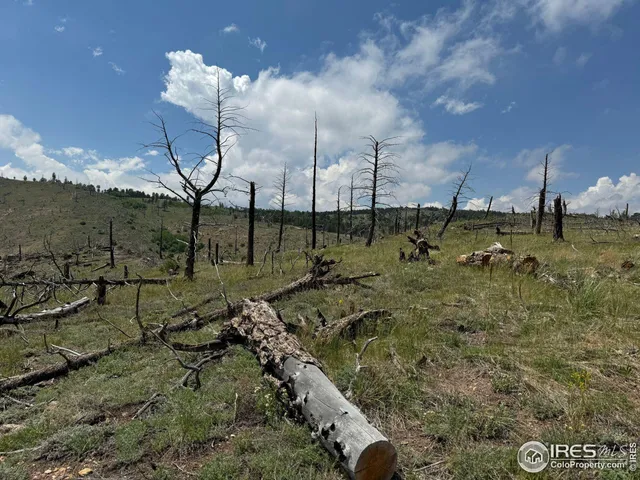 $250,000 | 280 Rim Road, Boulder, CO 80302