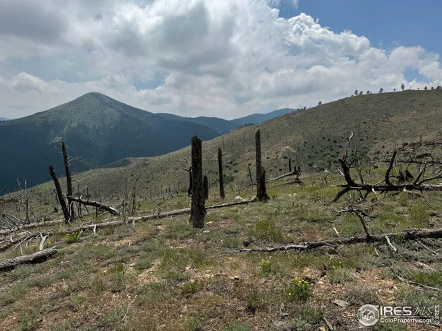 $250,000 | 280 Rim Road, Boulder, CO 80302