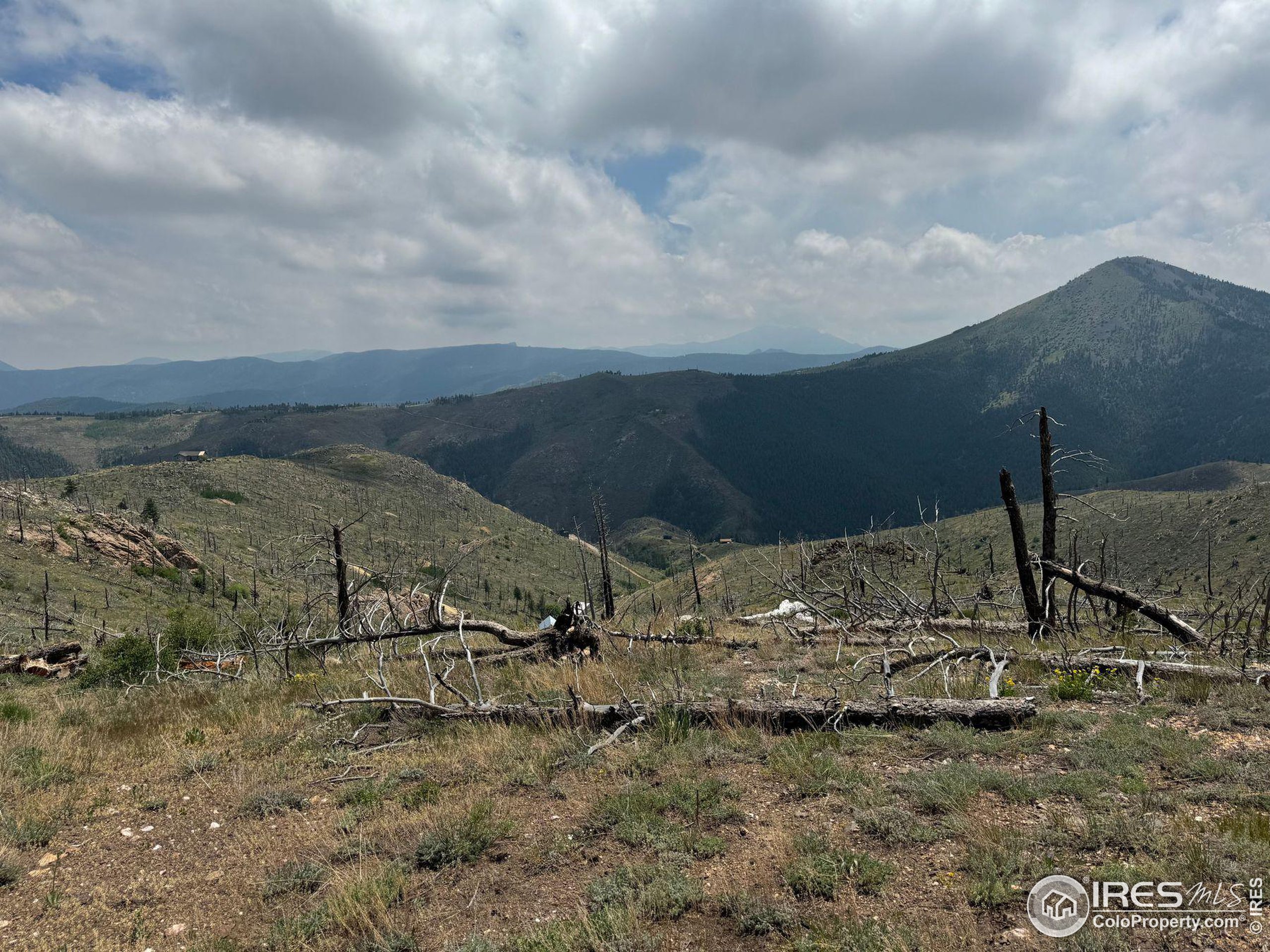 280 Rim Road Boulder, CO 80302 - Photo 21 of 29