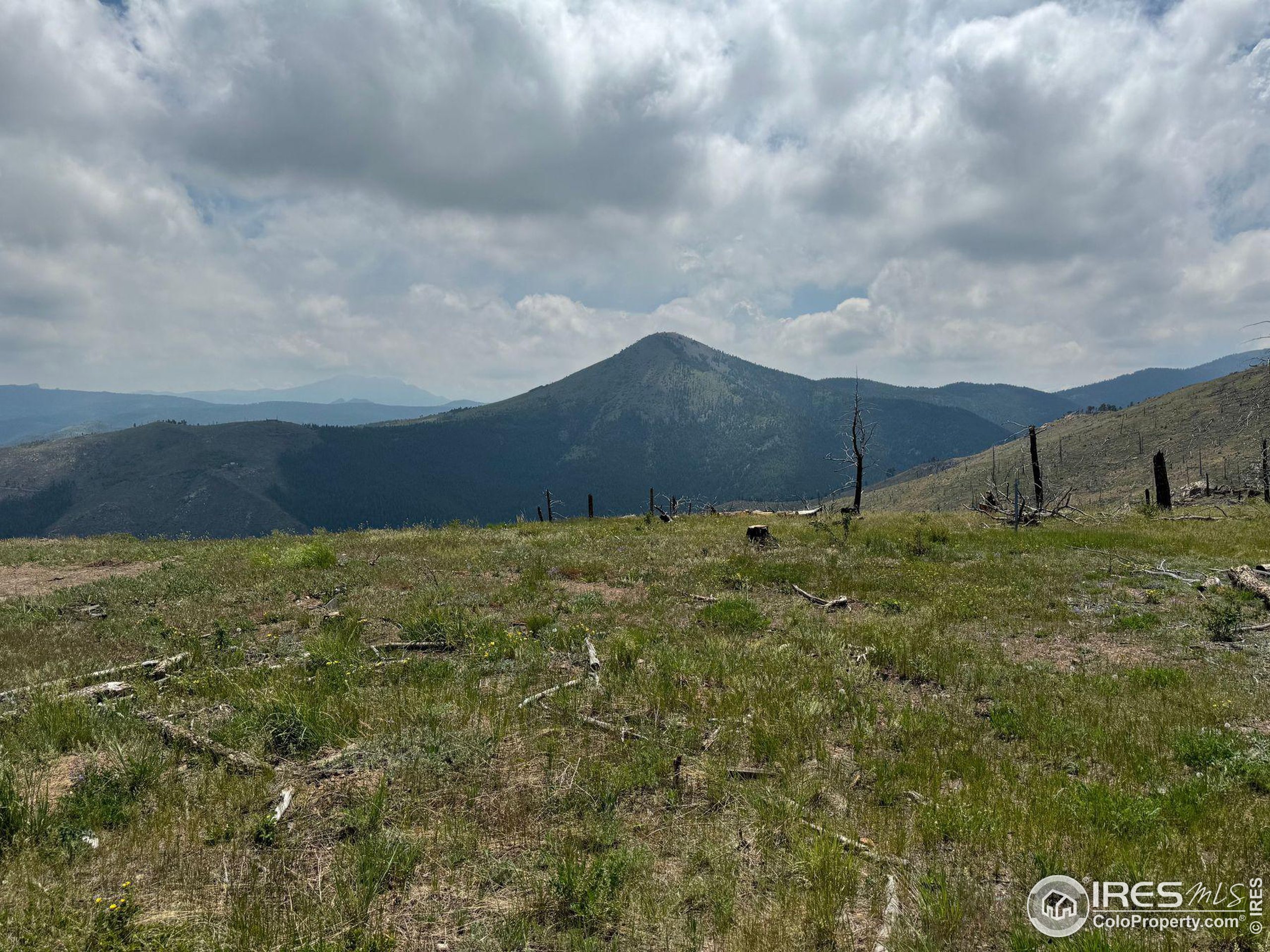 280 Rim Road Boulder, CO 80302 - Photo 24 of 29