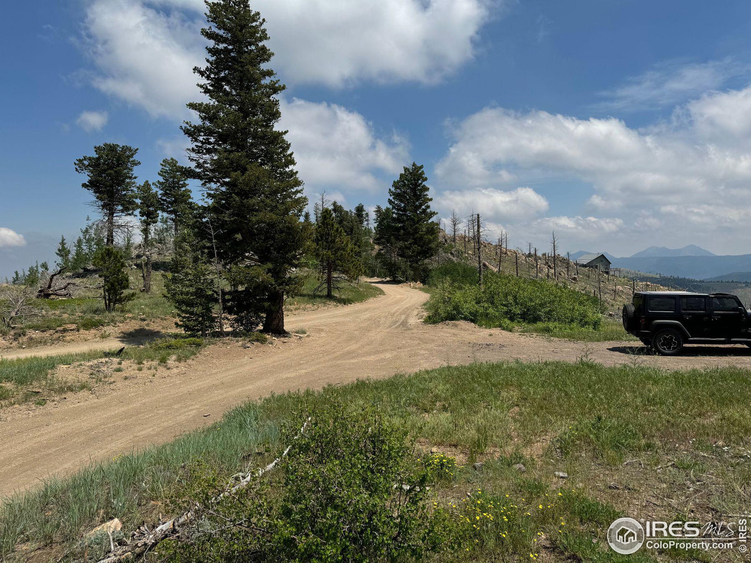 280 Rim Road Boulder, CO 80302 - Photo 29 of 29