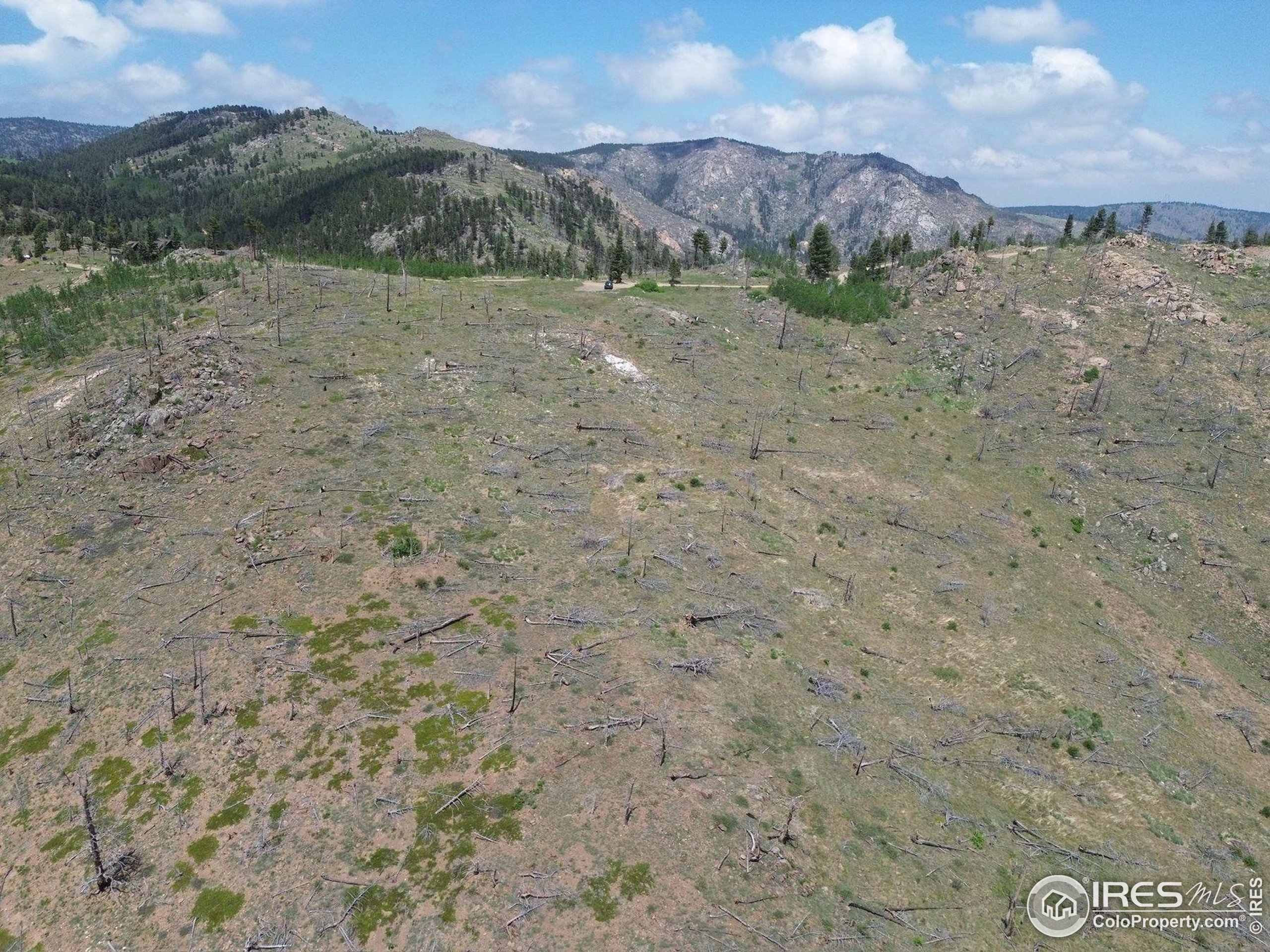 280 Rim Road Boulder, CO 80302 - Photo 5 of 29