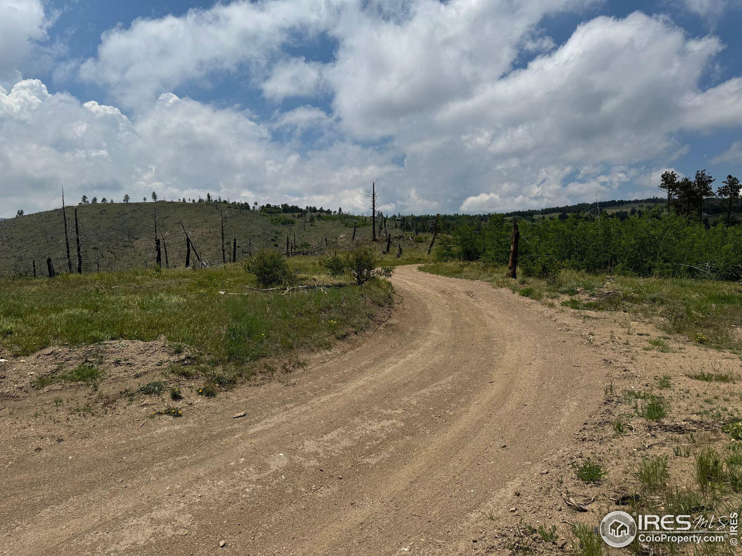 280 Rim Road Boulder, CO 80302 - Photo 8 of 29