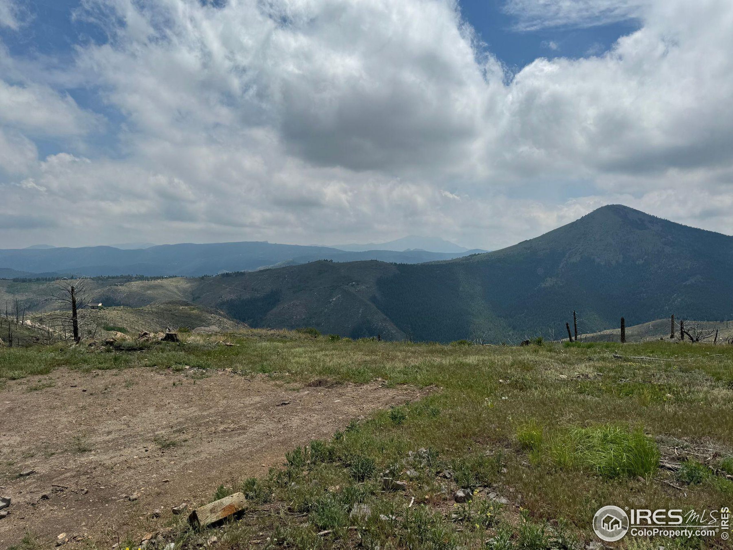 280 Rim Road Boulder, CO 80302 - Photo 10 of 29
