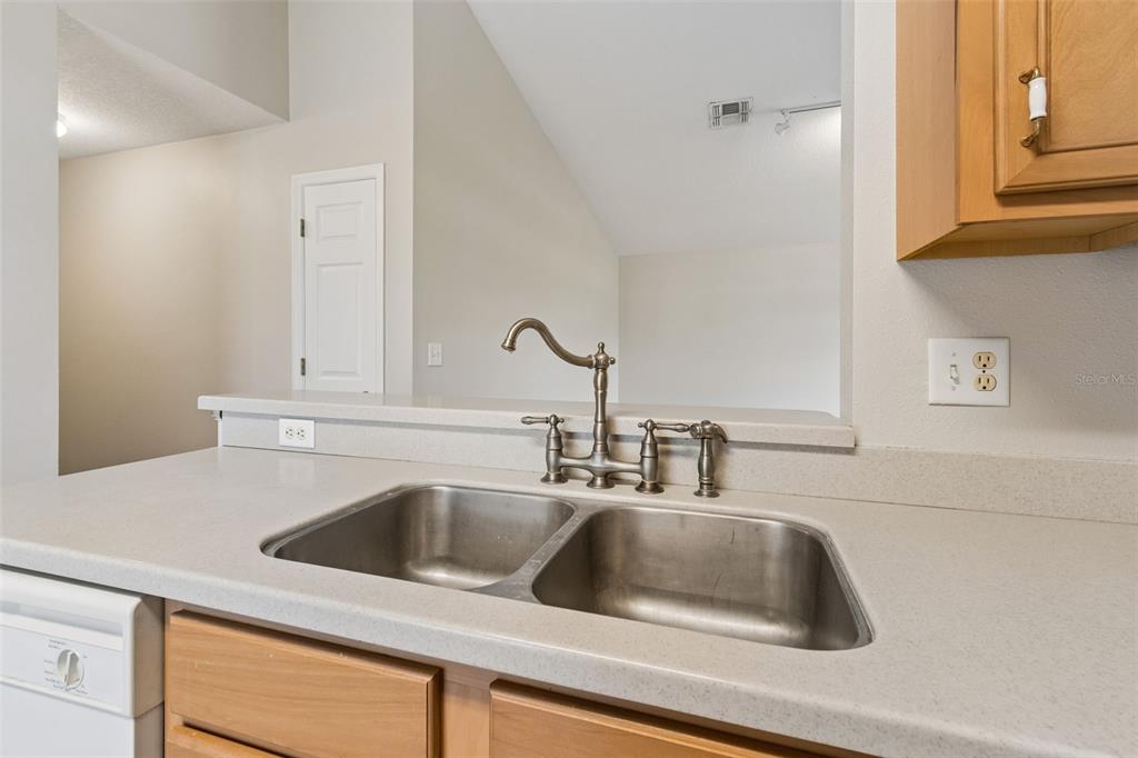 4631 Eagle Ranch Drive Zephyrhills, FL 33542 - Photo 18 of 58 a close view of sink and tap