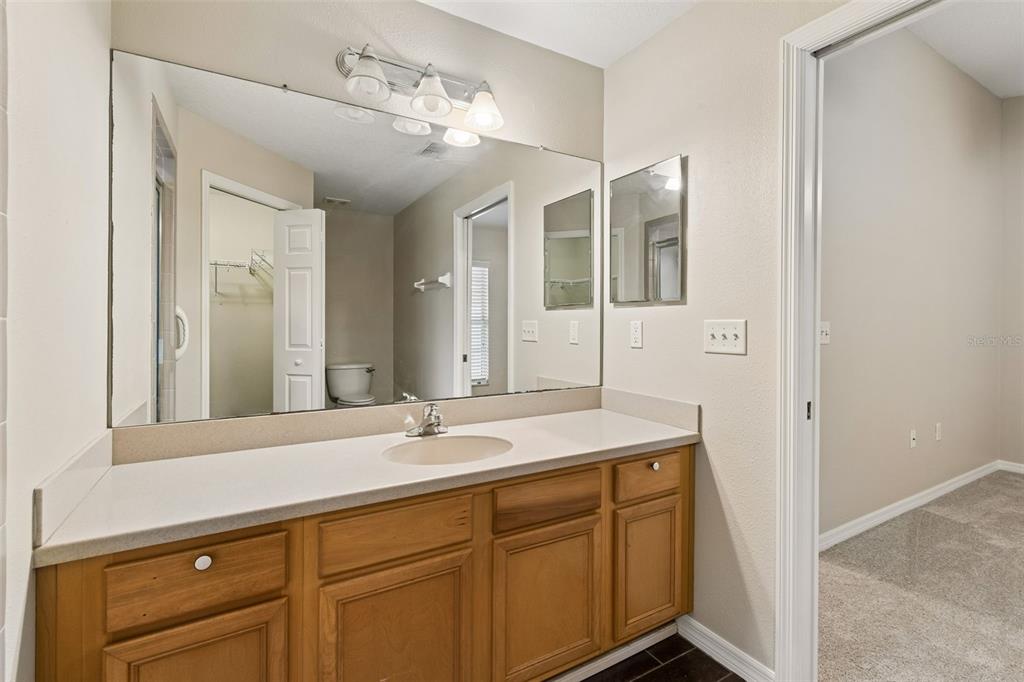 4631 Eagle Ranch Drive Zephyrhills, FL 33542 - Photo 25 of 58 a bathroom with a sink and a mirror