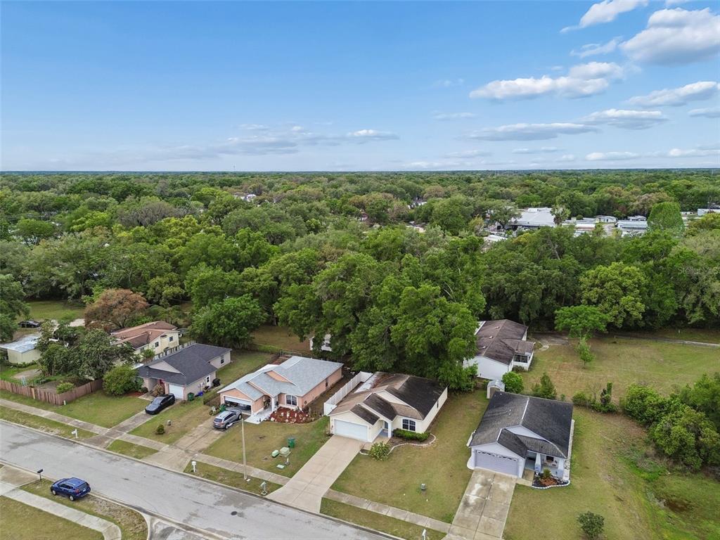 4631 Eagle Ranch Drive Zephyrhills, FL 33542 - Photo 47 of 58 an aerial view of a house with garden space and outdoor space