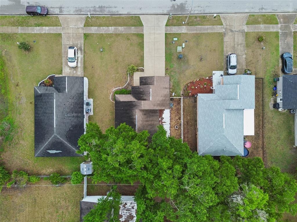 4631 Eagle Ranch Drive Zephyrhills, FL 33542 - Photo 55 of 58