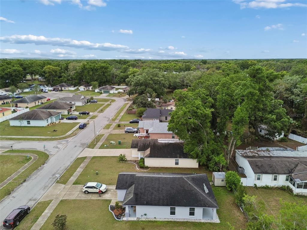 4631 Eagle Ranch Drive Zephyrhills, FL 33542 - Photo 56 of 58