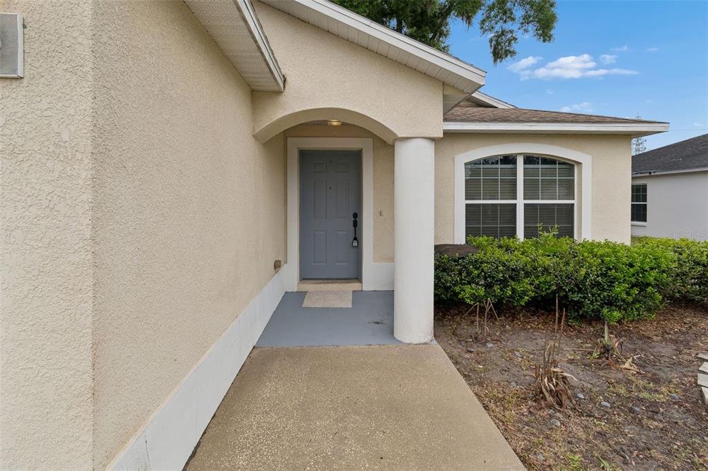 4631 Eagle Ranch Drive Zephyrhills, FL 33542 - Photo 7 of 58