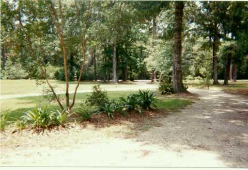 48605 Sibley Road Tickfaw, LA 70466 - Photo 4 of 5