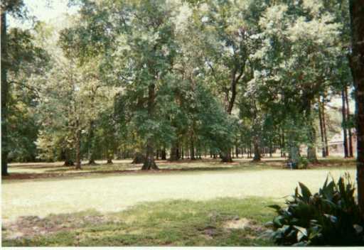 48605 Sibley Road Tickfaw, LA 70466 - Photo 5 of 5