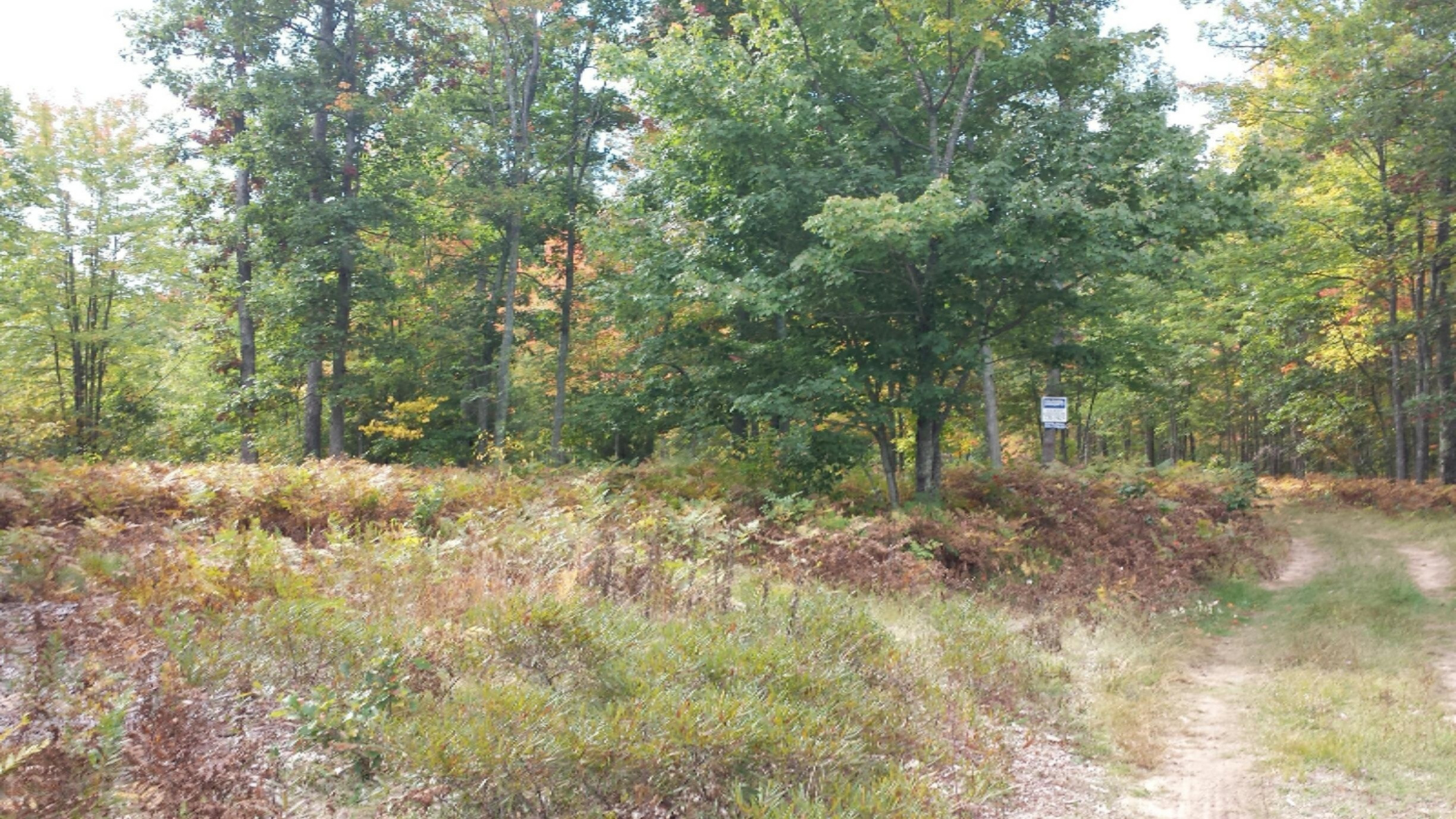 0 North Tuttle Road Free Soil, MI 49411 - Photo 1 of 11 20140928_122458_resized